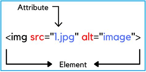 元素屬性|DOM HTML 屬性 HTML Attributes